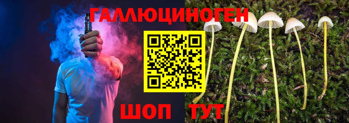 Галлюциногенные грибы прущие грибы  Вход с VPN  Торжок 
